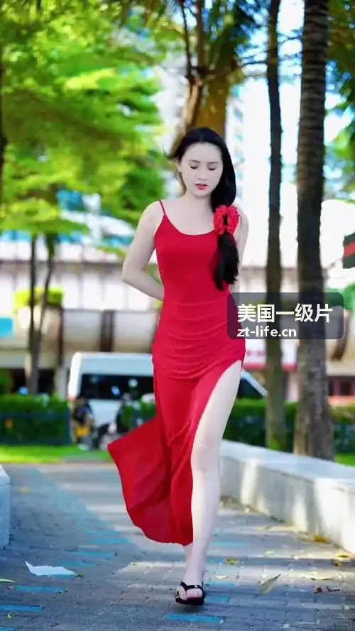 美国一级片4K原画赛博黎明
